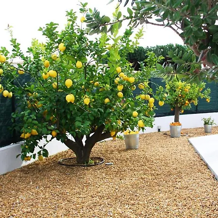 Vale Do Garrao Sleeps 4 With Pool Air Con And Wifi *